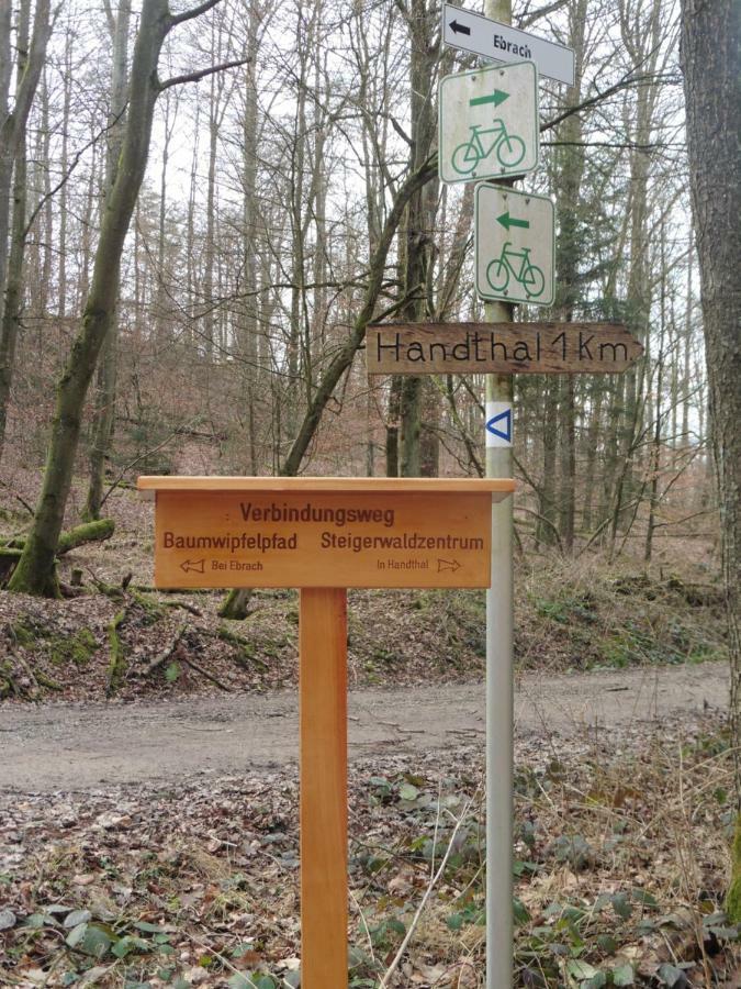 Ferienwohnung ,,Wingertsberg" Ebrach Bagian luar foto